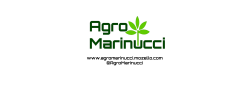 Logo Empresa