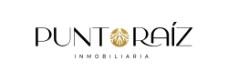 punto raiz inmobiliaria