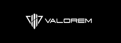 grupo valorem