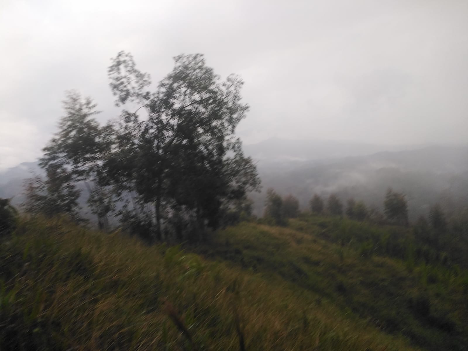 Foto propiedad