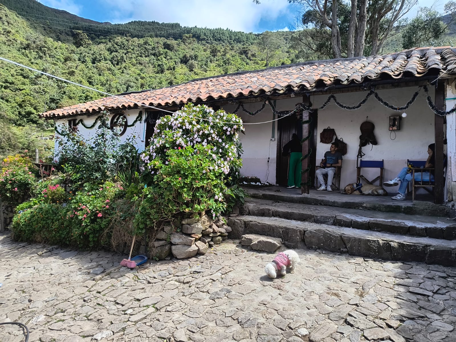 VENTA PERMUTA FINCA EN TONA SANTANDER COD: 1057