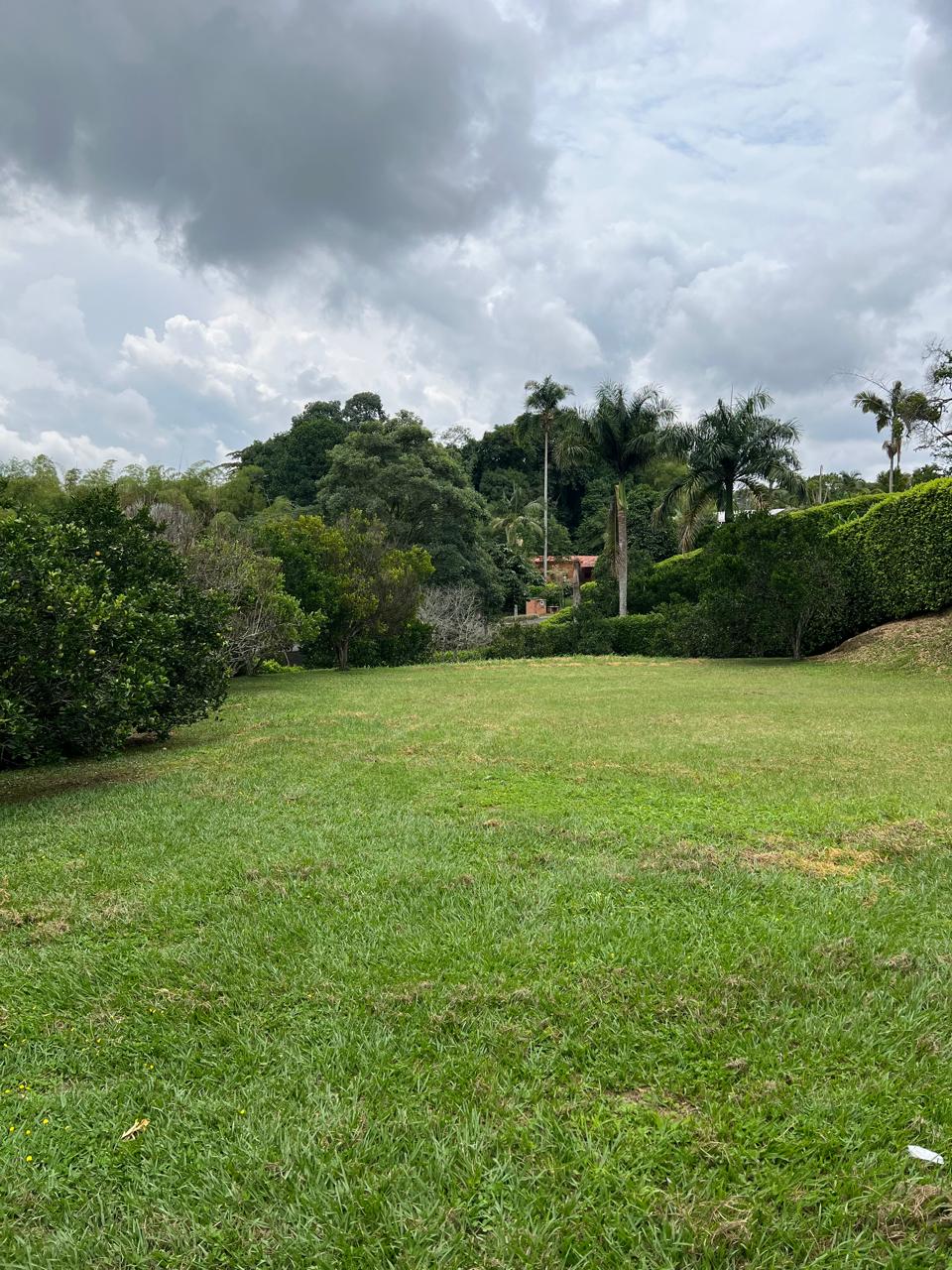 VENTA HERMOSO LOTE CONDOMINIO EN EL TIGRE CERRITOS PEREIRA