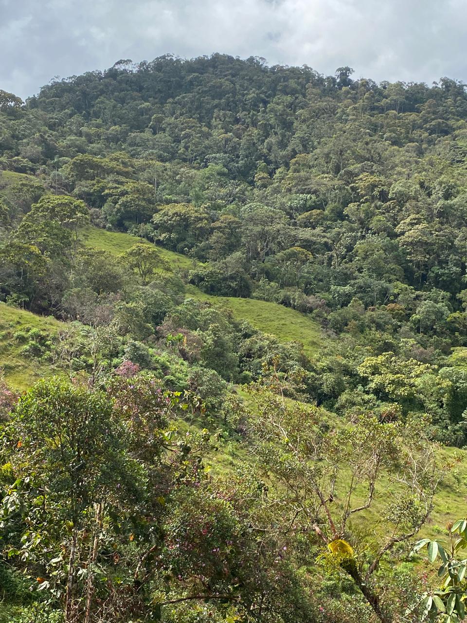 Finca en el Santuario Antioquia
