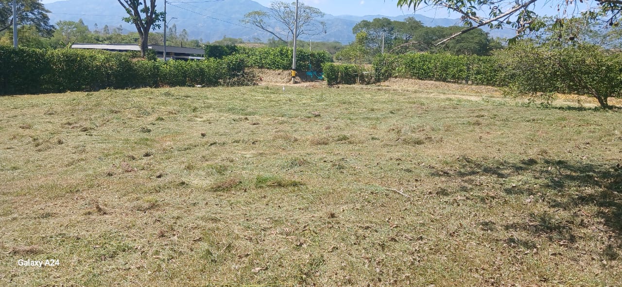 lote sopetran