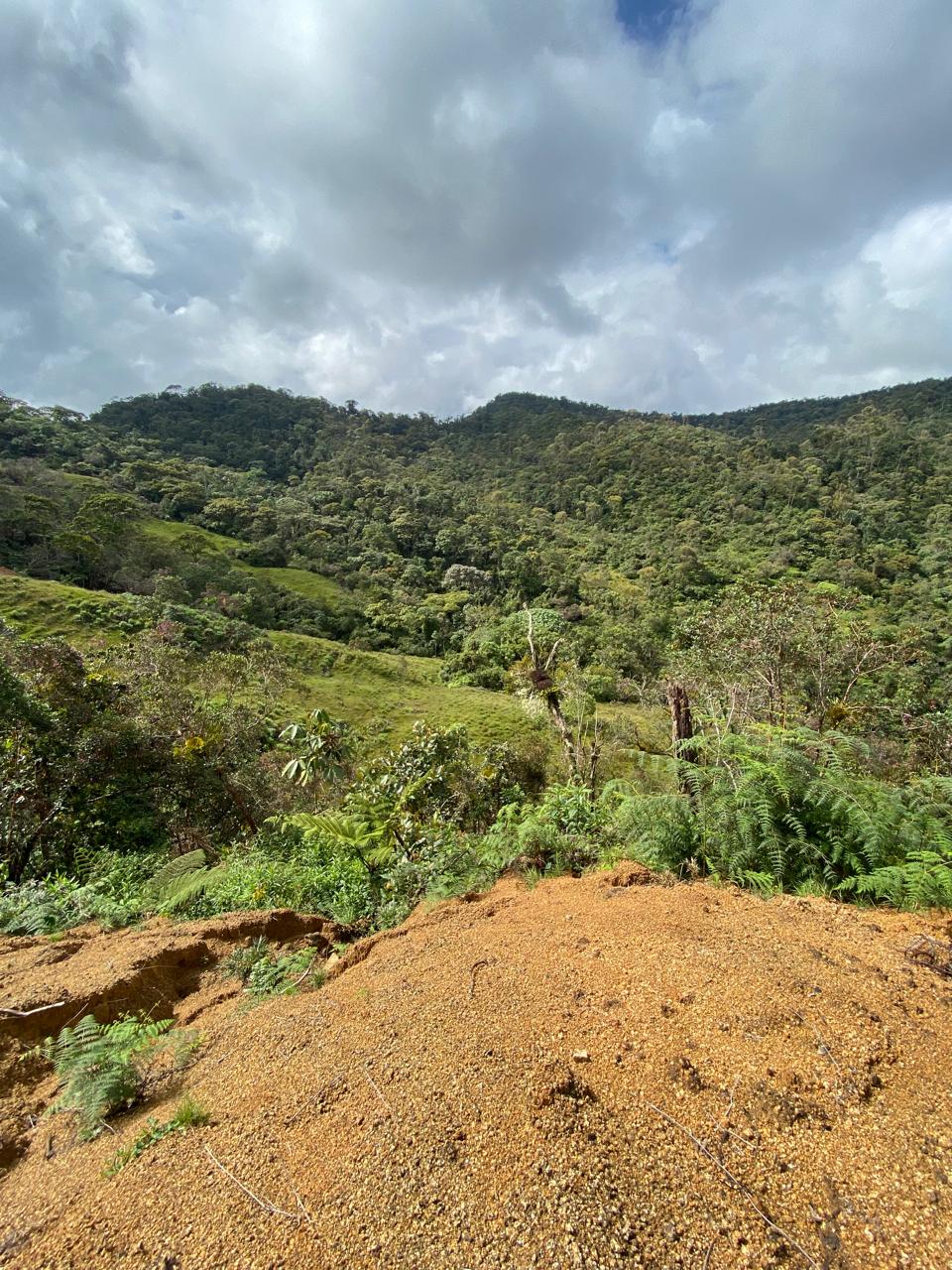 Finca en el Santuario Antioquia