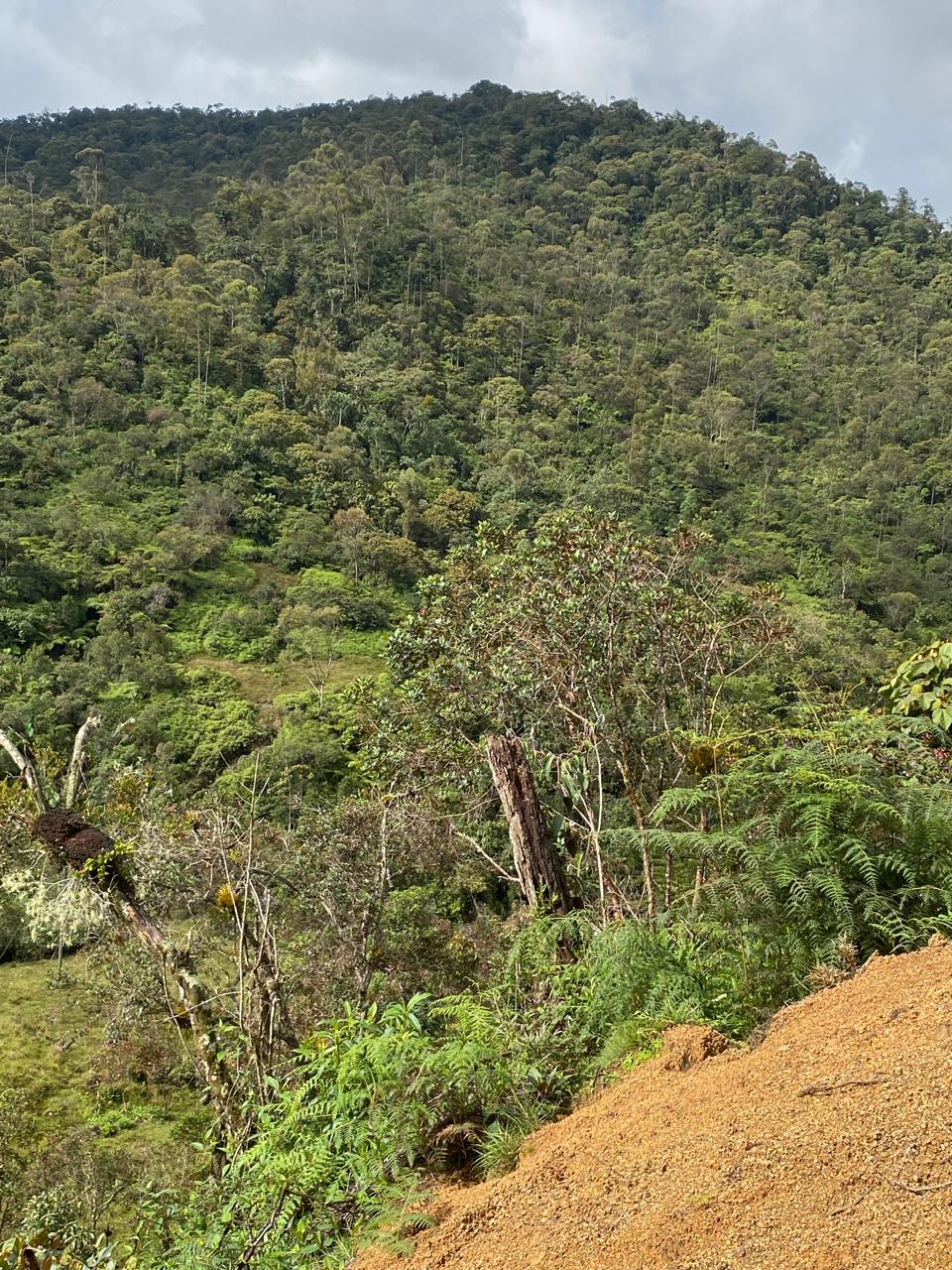 Finca en el Santuario Antioquia