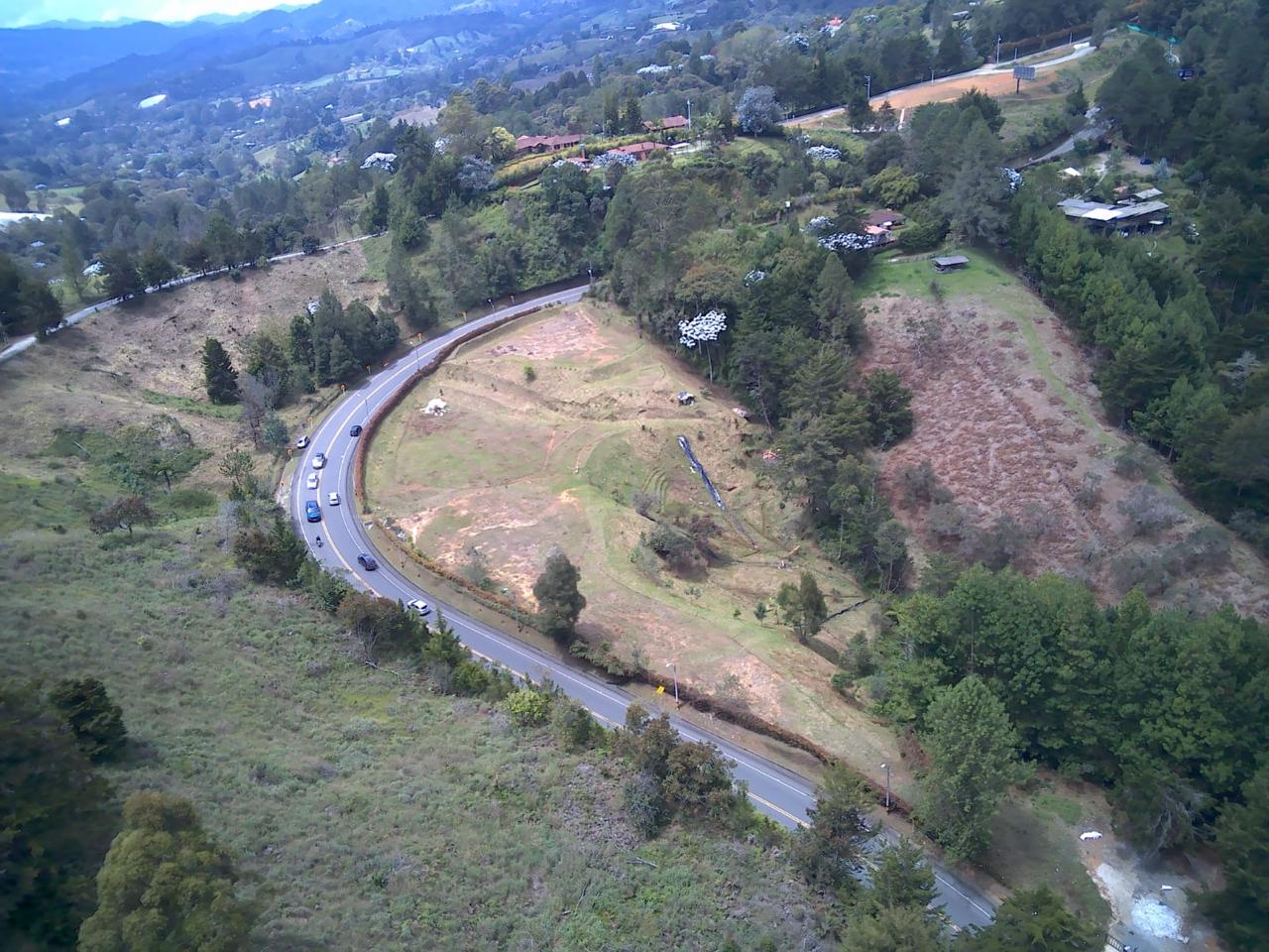 Lote la variante