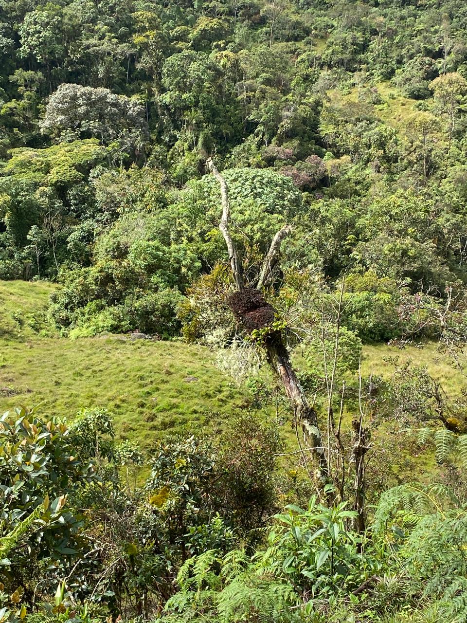 Finca en el Santuario Antioquia
