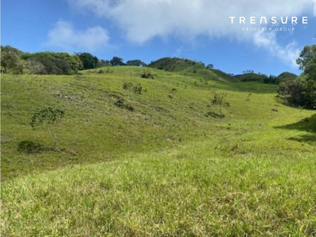 FINCA en VENTA, Armenia Mantequilla