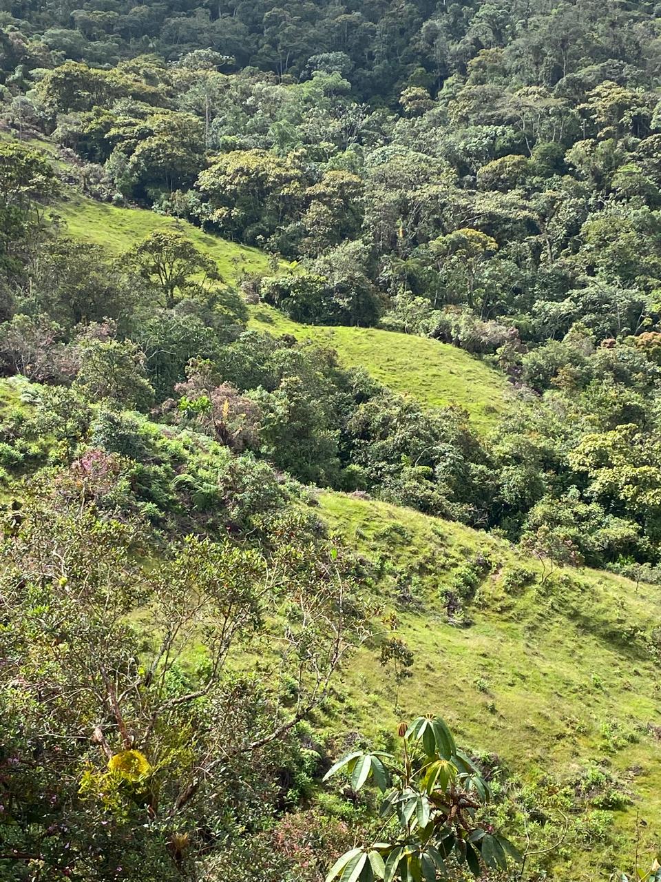 Finca en el Santuario Antioquia