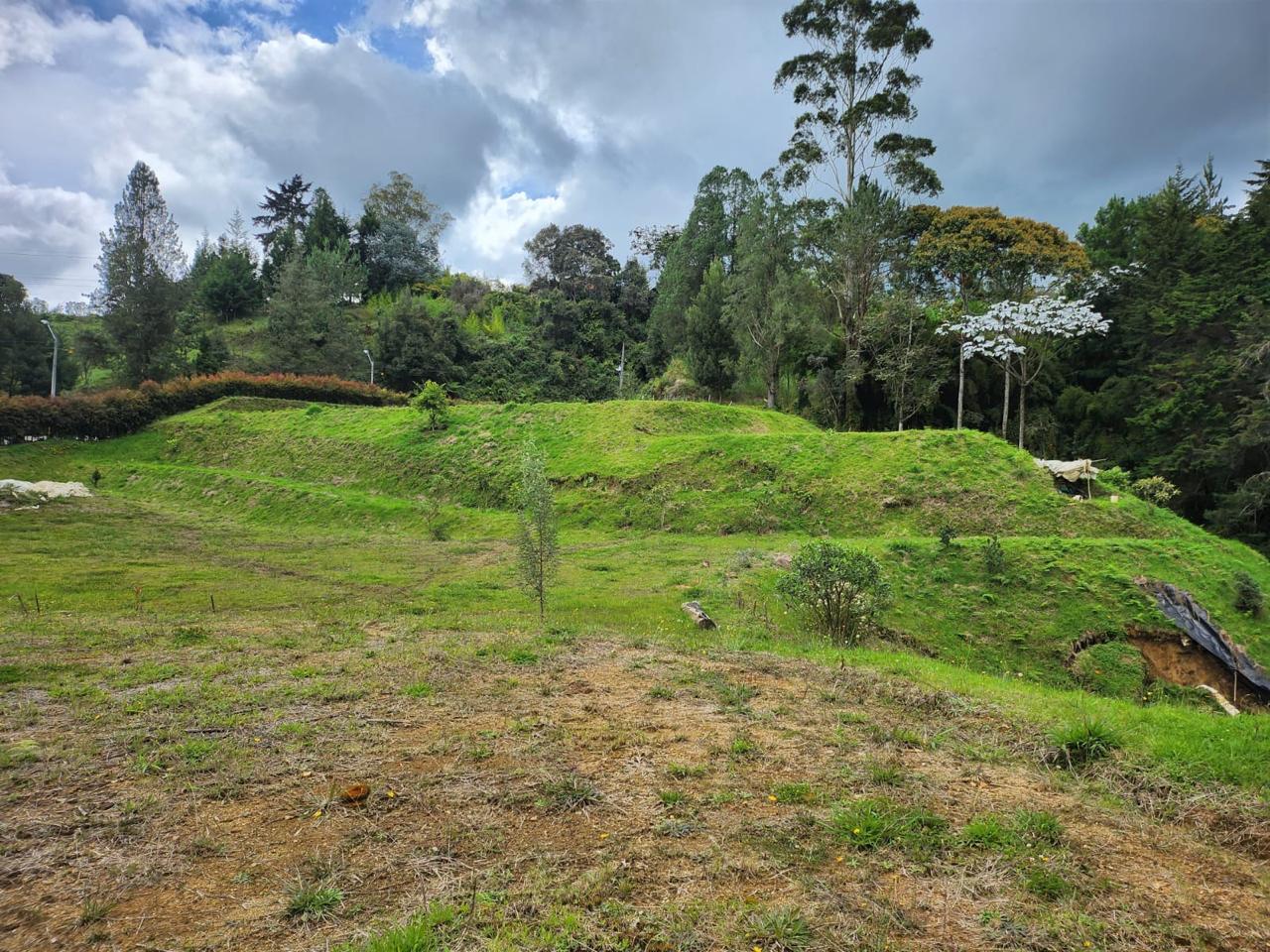Lote la variante