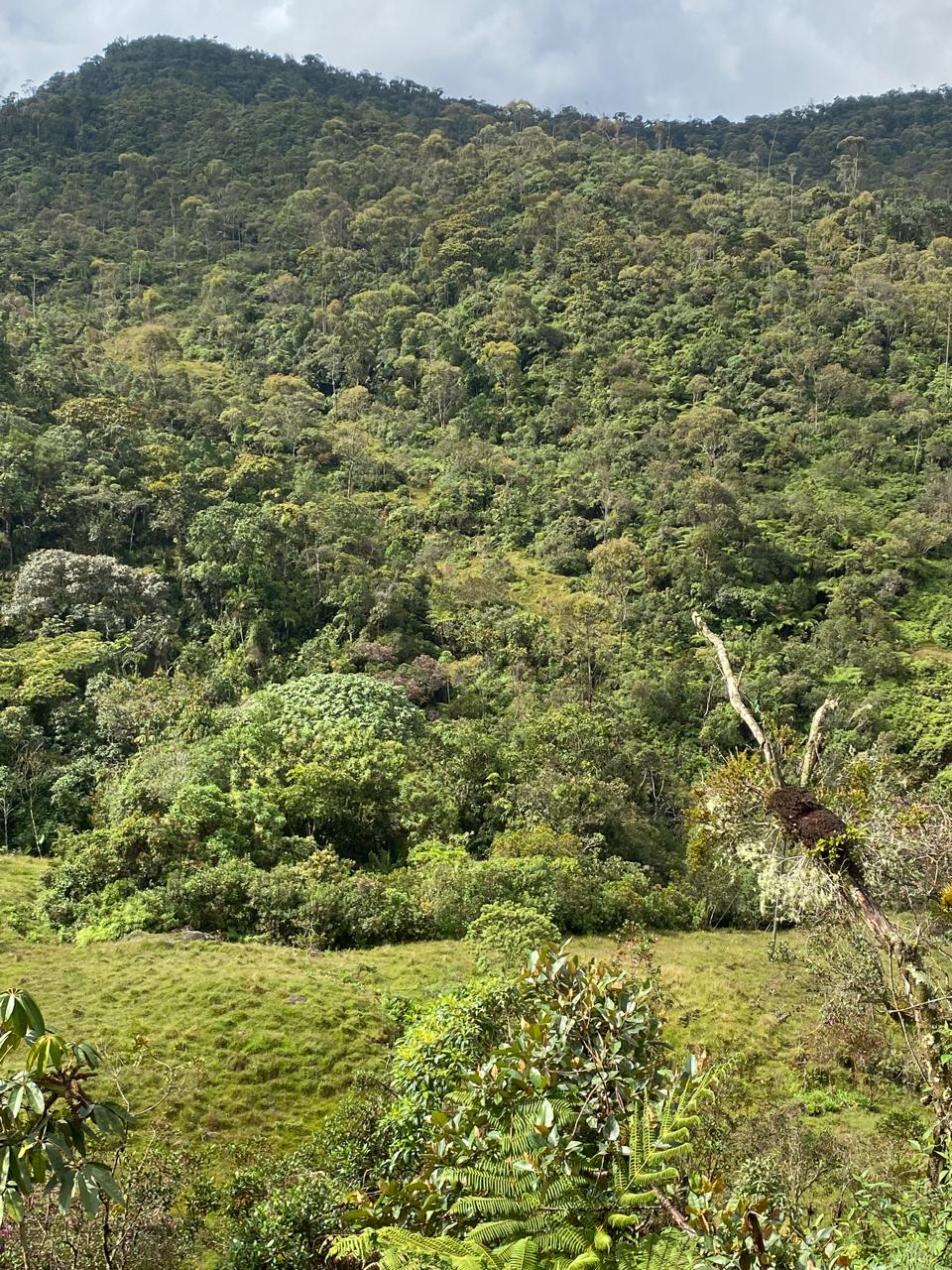 Finca en el Santuario Antioquia