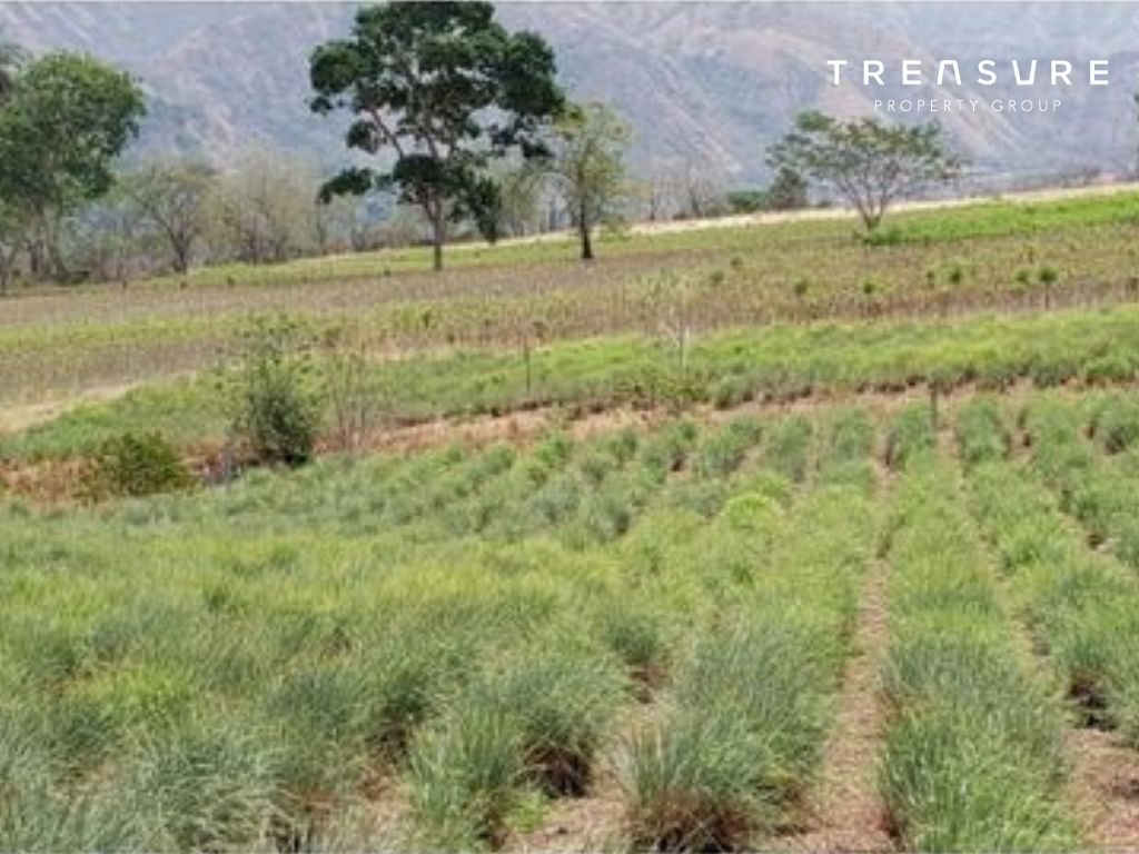 VENTA de Finca agricola, Santa Fe de Antioquia