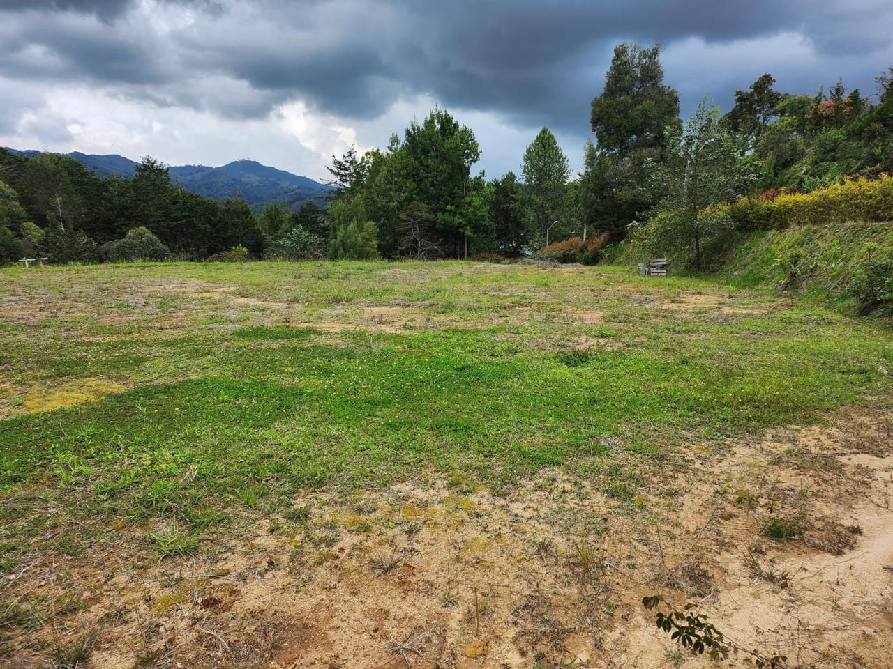 Lote la variante