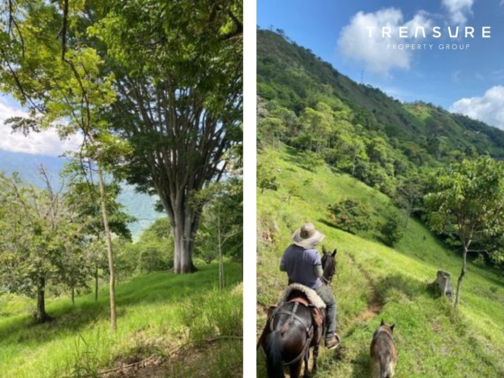 FINCA en VENTA, Armenia Mantequilla