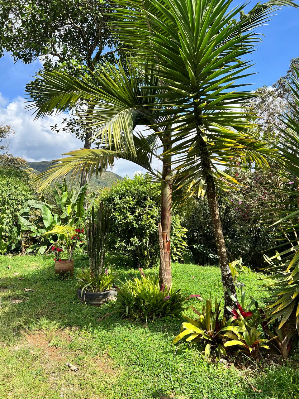 Casa Finca en Caldas Ant.