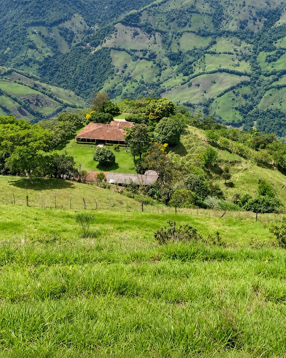 Finca en venta, Armenia Mantequilla