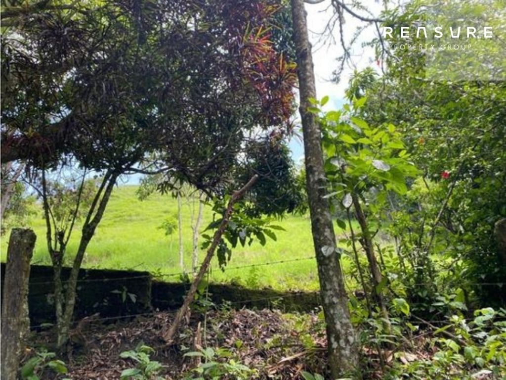 FINCA en VENTA, Armenia Mantequilla
