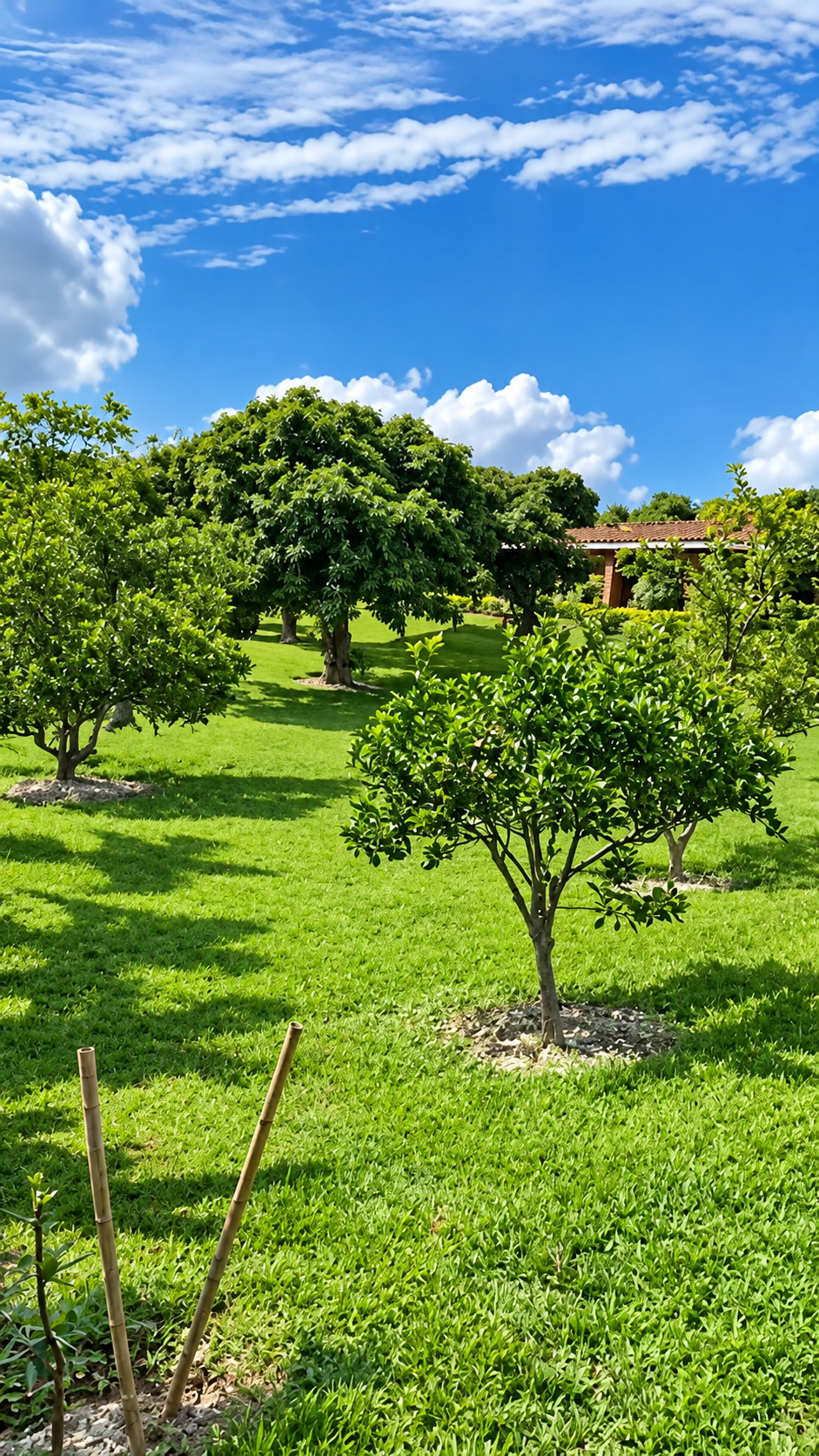 Finca en venta, Armenia Mantequilla