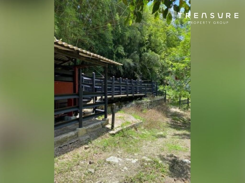 FINCA en VENTA, Armenia Mantequilla