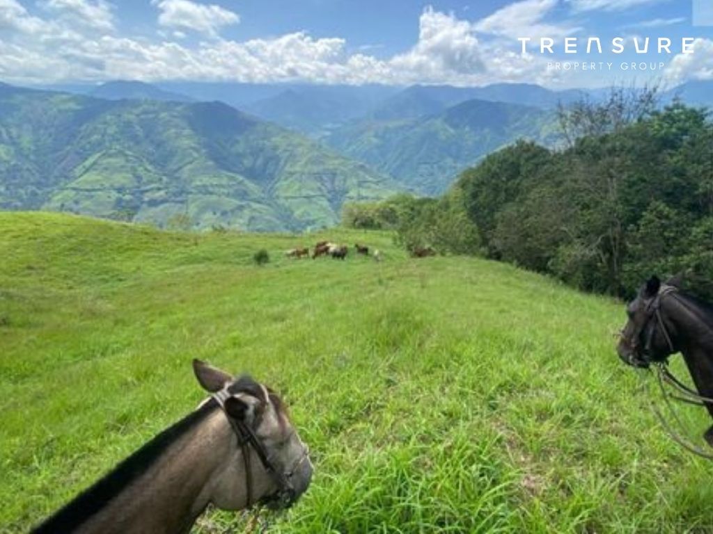 FINCA en VENTA, Armenia Mantequilla