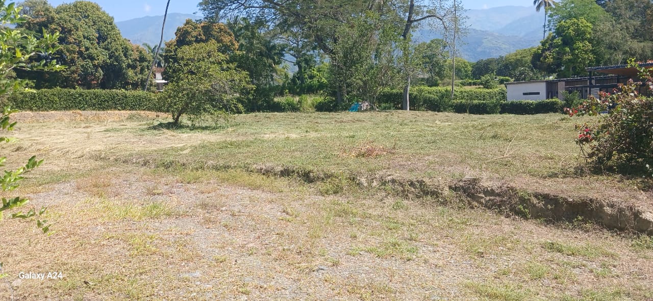 lote sopetran