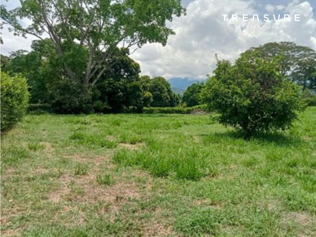 Lote Sopetran Campo Real