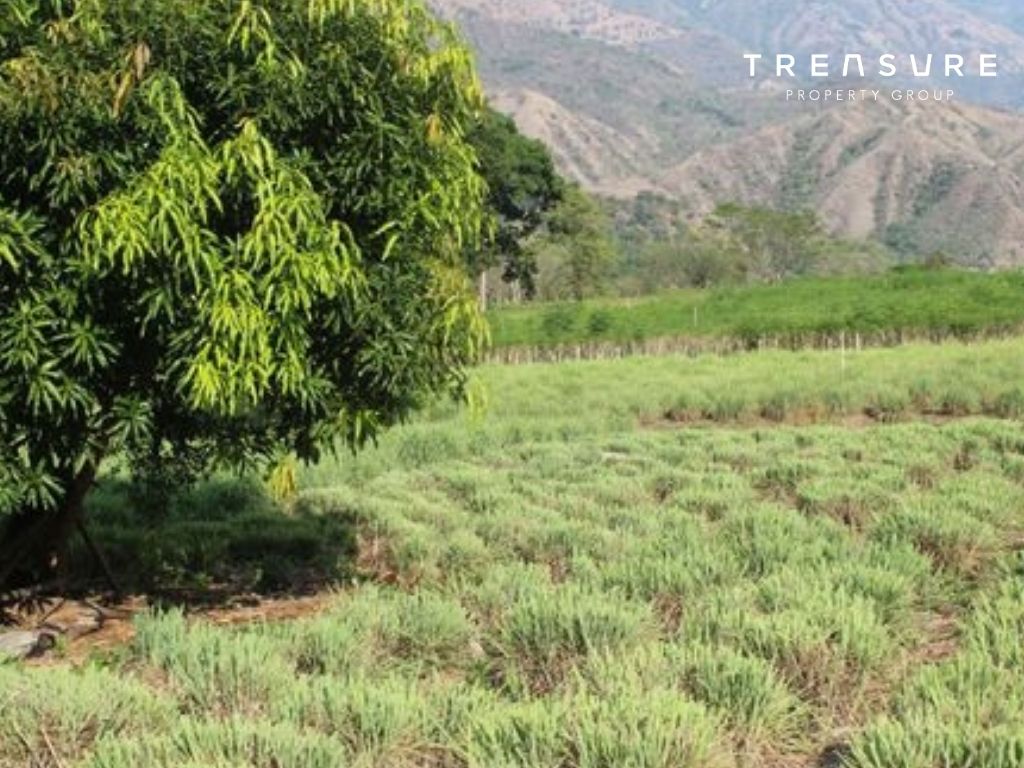 VENTA de Finca agricola, Santa Fe de Antioquia