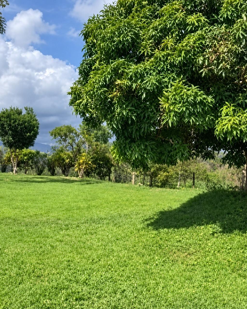 Finca en venta, Armenia Mantequilla
