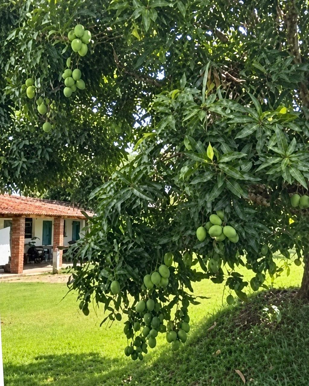 Finca en venta, Armenia Mantequilla