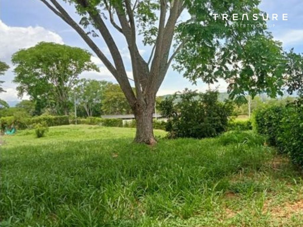 Lote Sopetran Campo Real