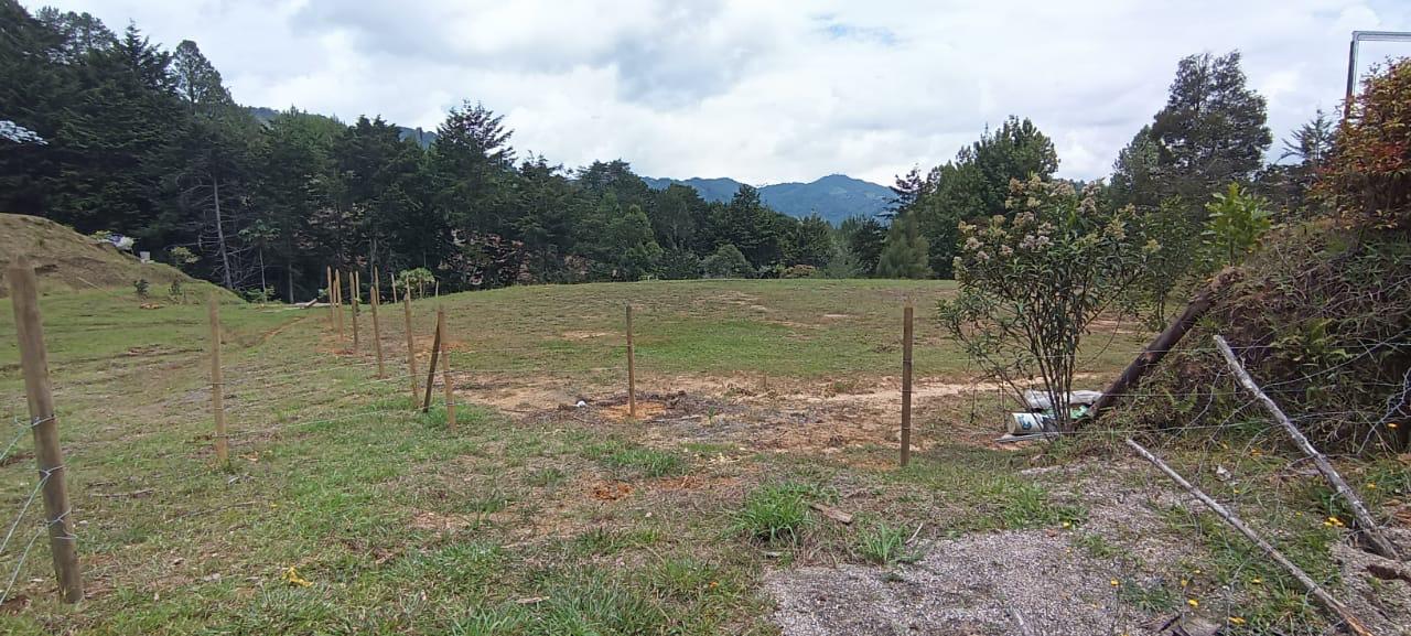 Lote la variante