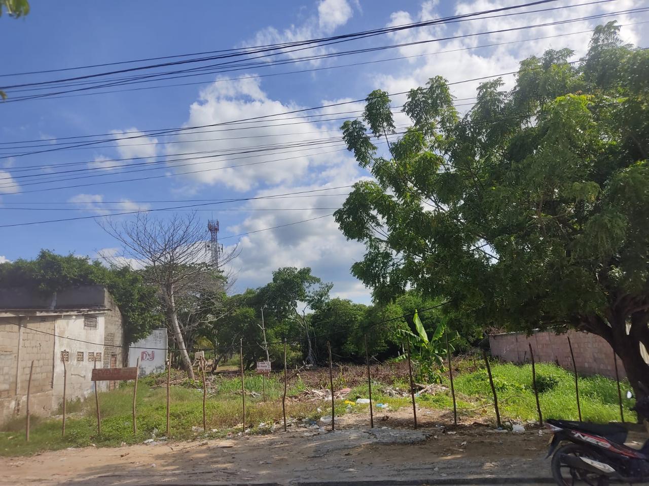 Lote Coveñas