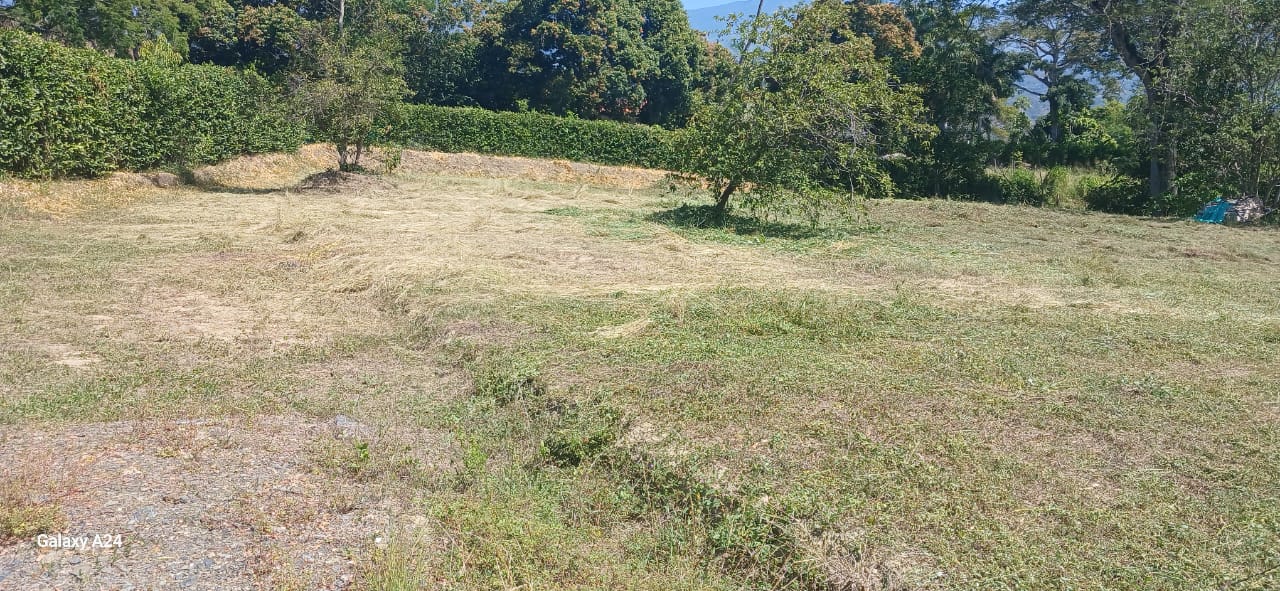 lote sopetran