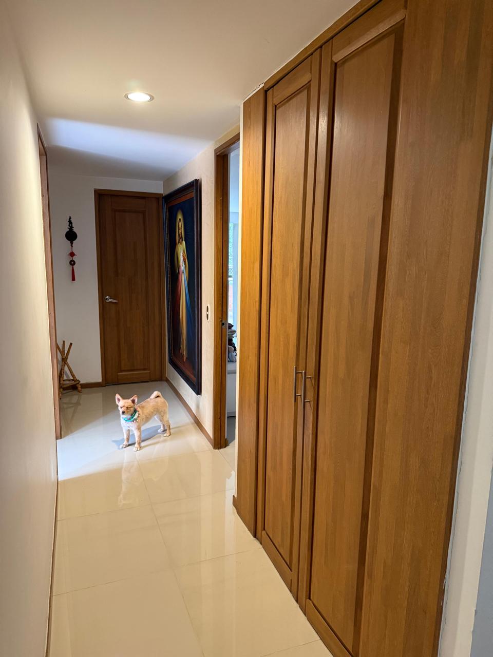 Apartamento con terraza
