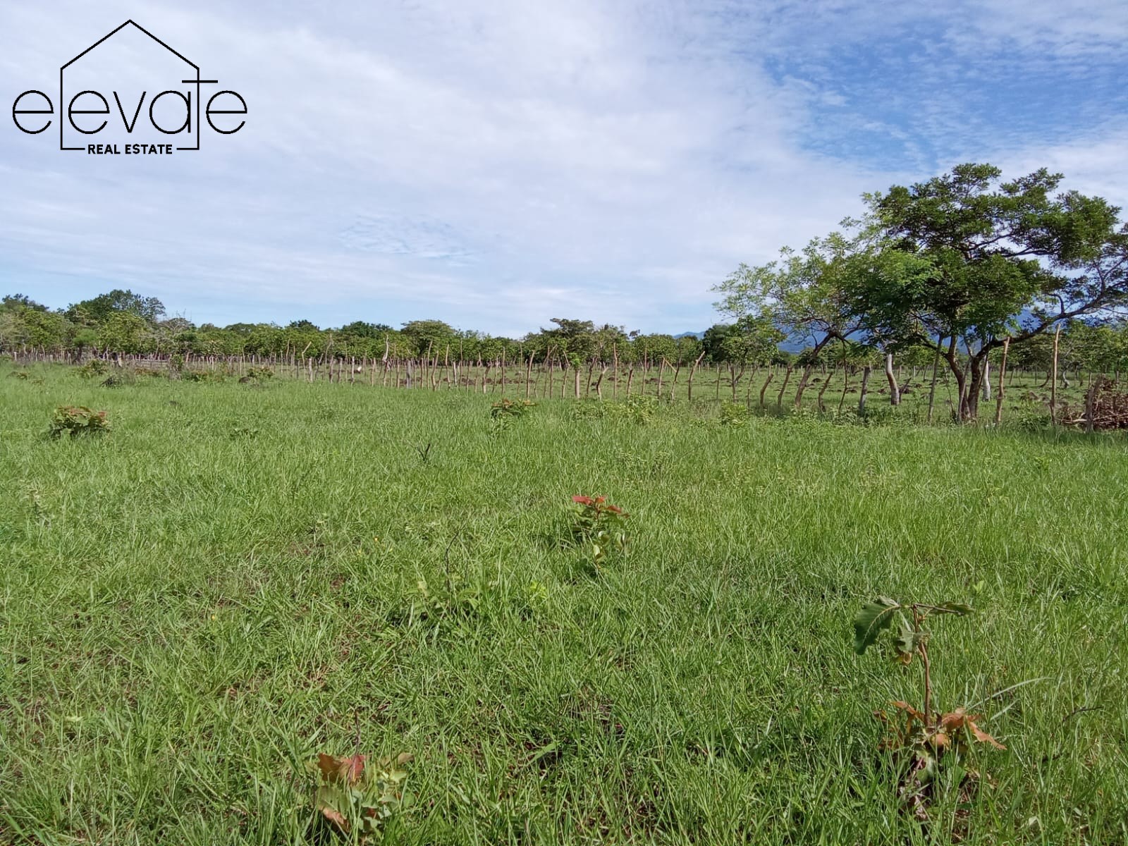 FINCA EN DAVID CHIRIQUI