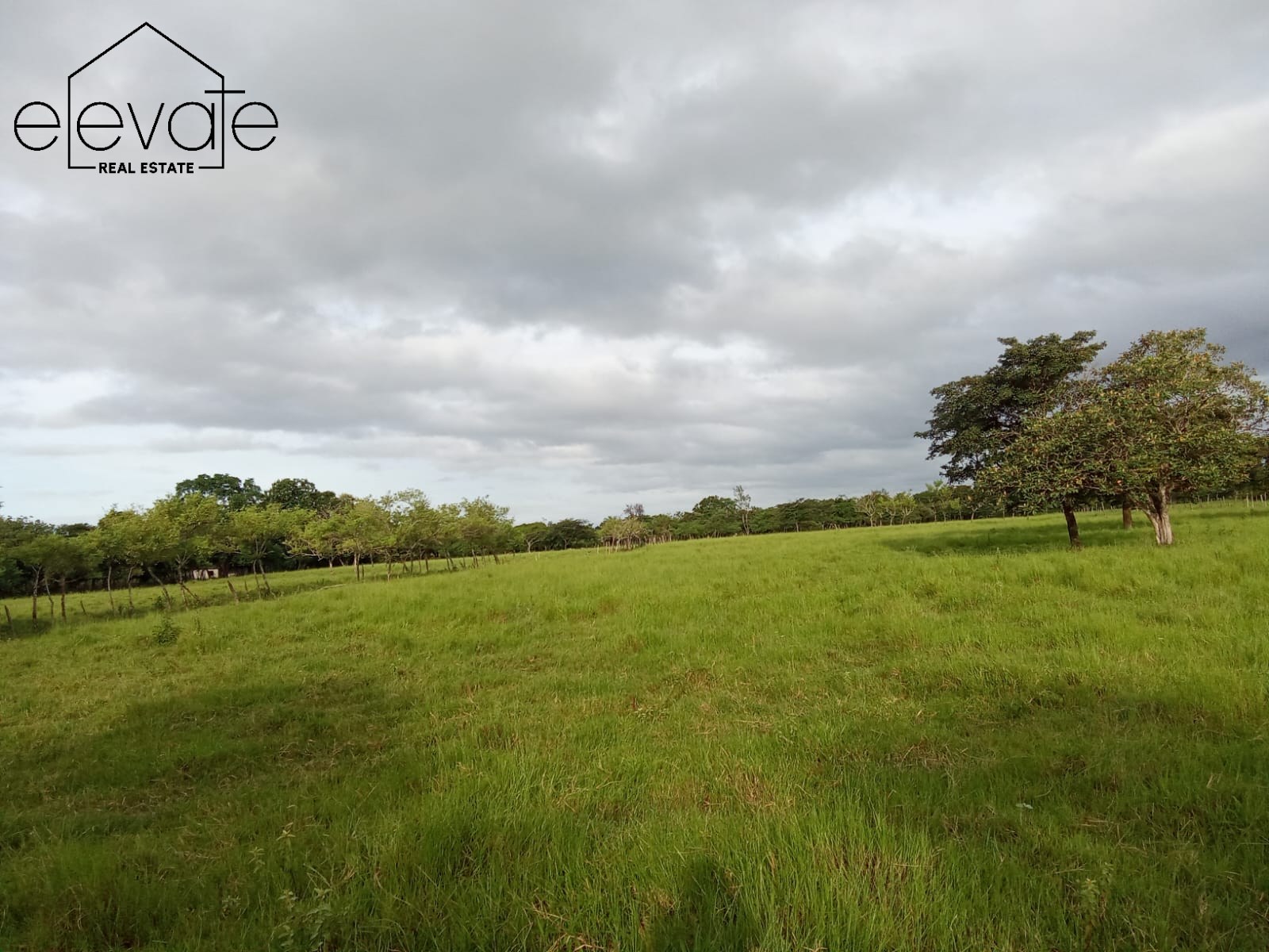 FINCA EN DAVID CHIRIQUI