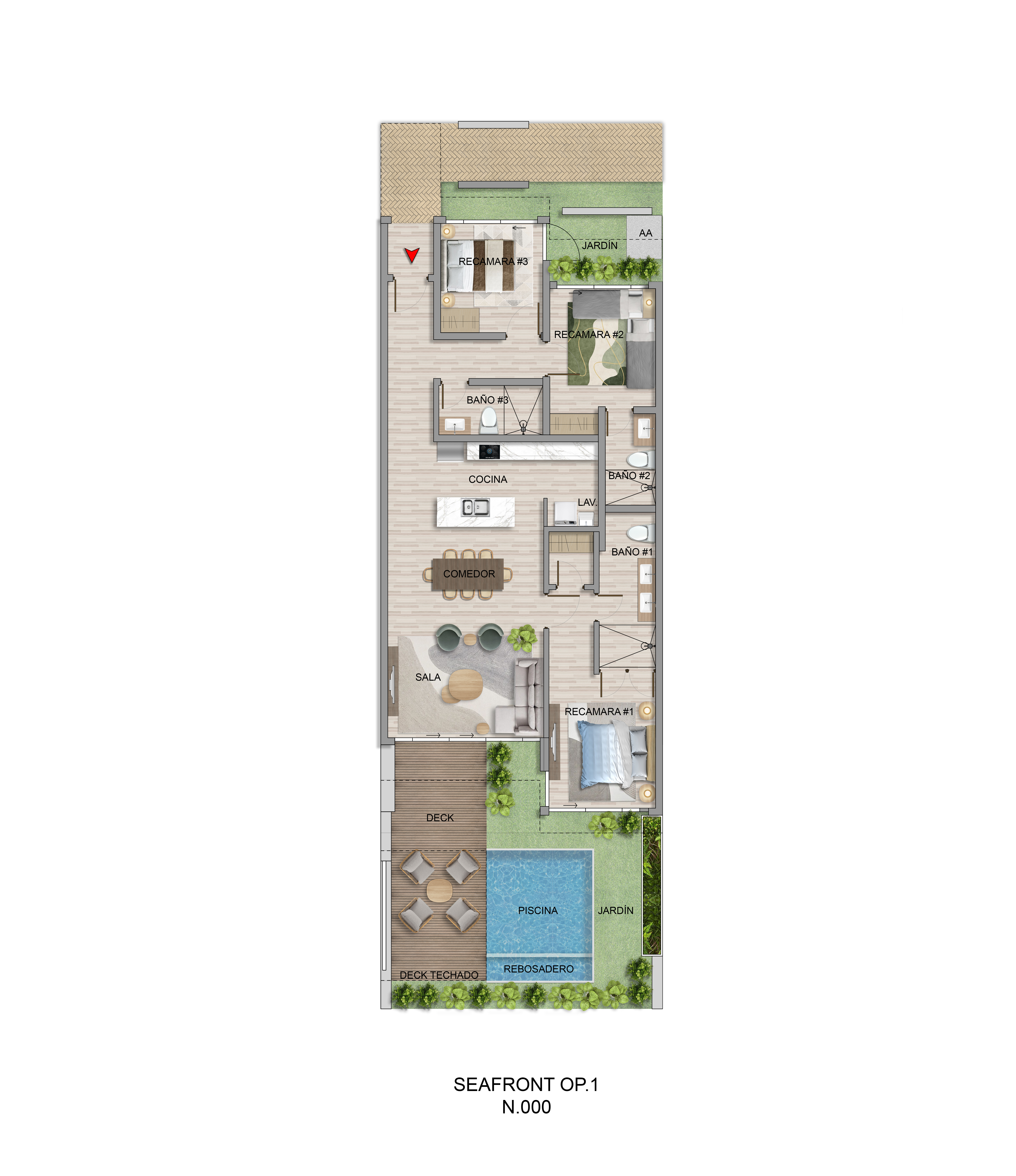 SEASHORE - PLAYA CARACOL