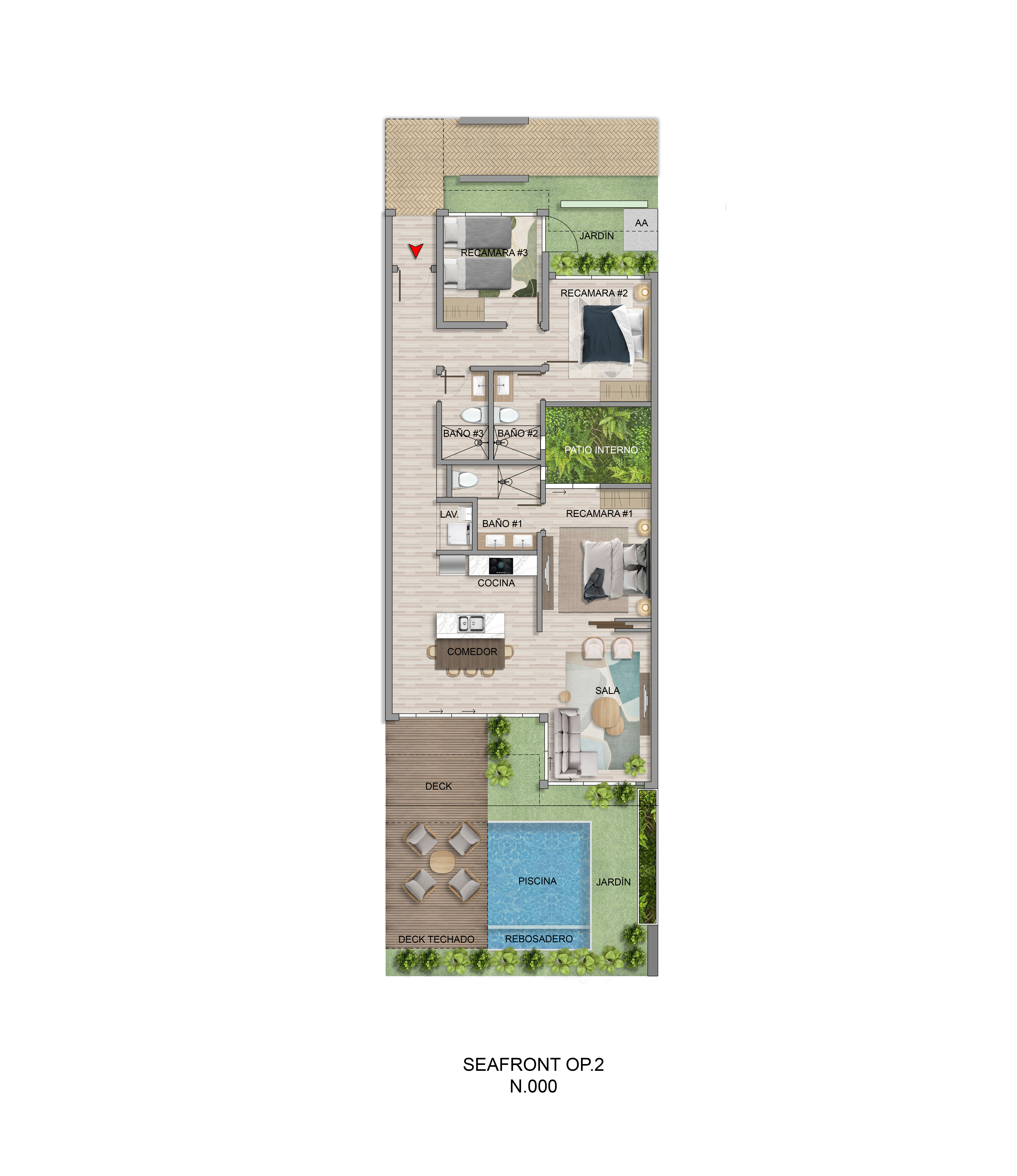 SEASHORE - PLAYA CARACOL