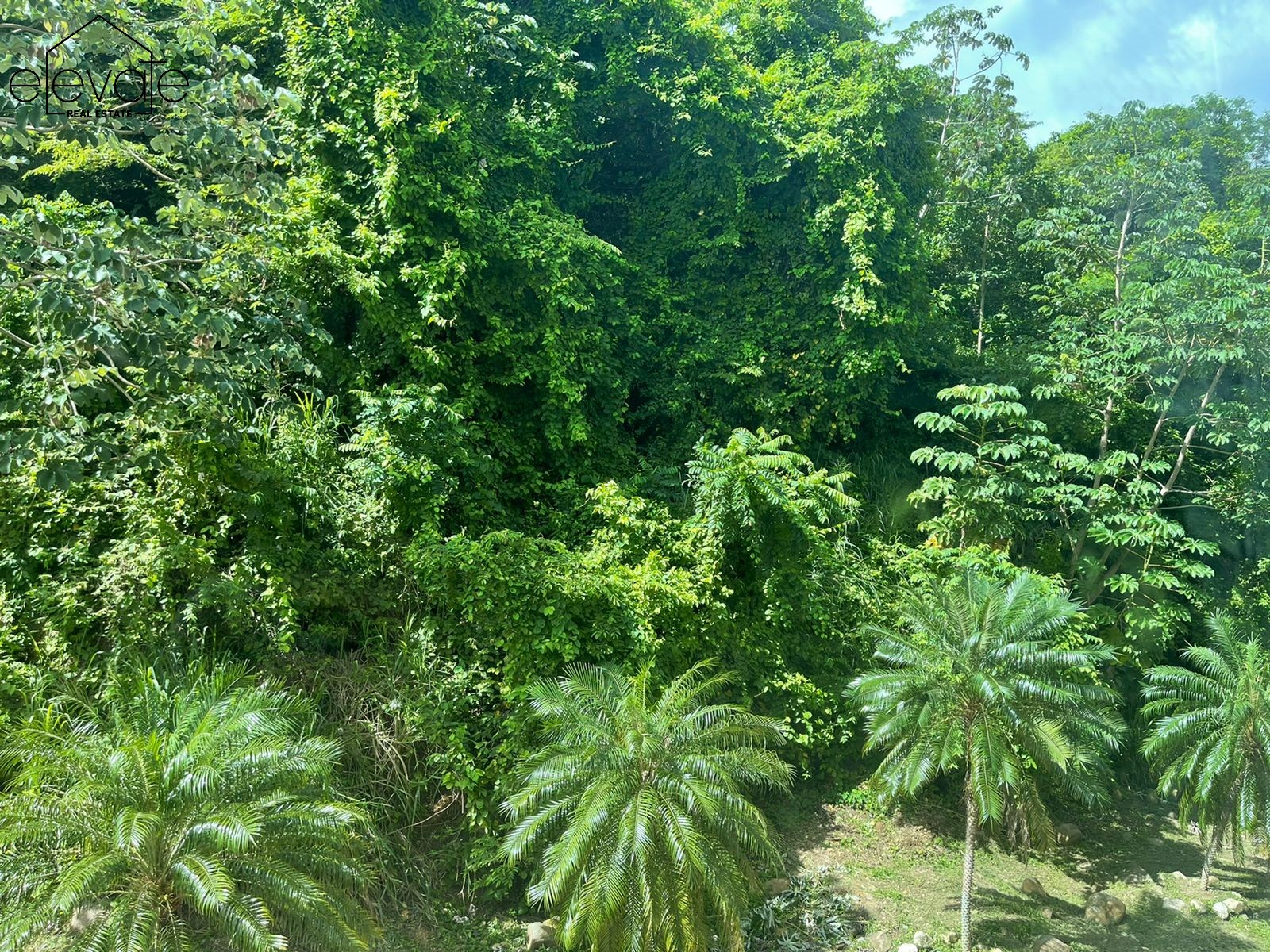 STUDIO AMADOR CAUSWAY - NAOS HARBOUR ISLAND