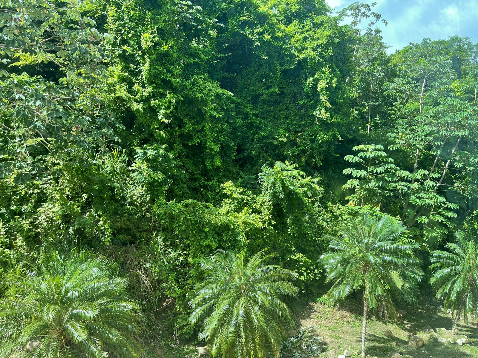 Se alquila apartamento completamente amoblado en Isla Naos - Amador