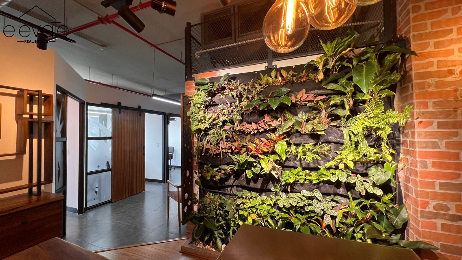 KENEX PLAZA - OBARRIO