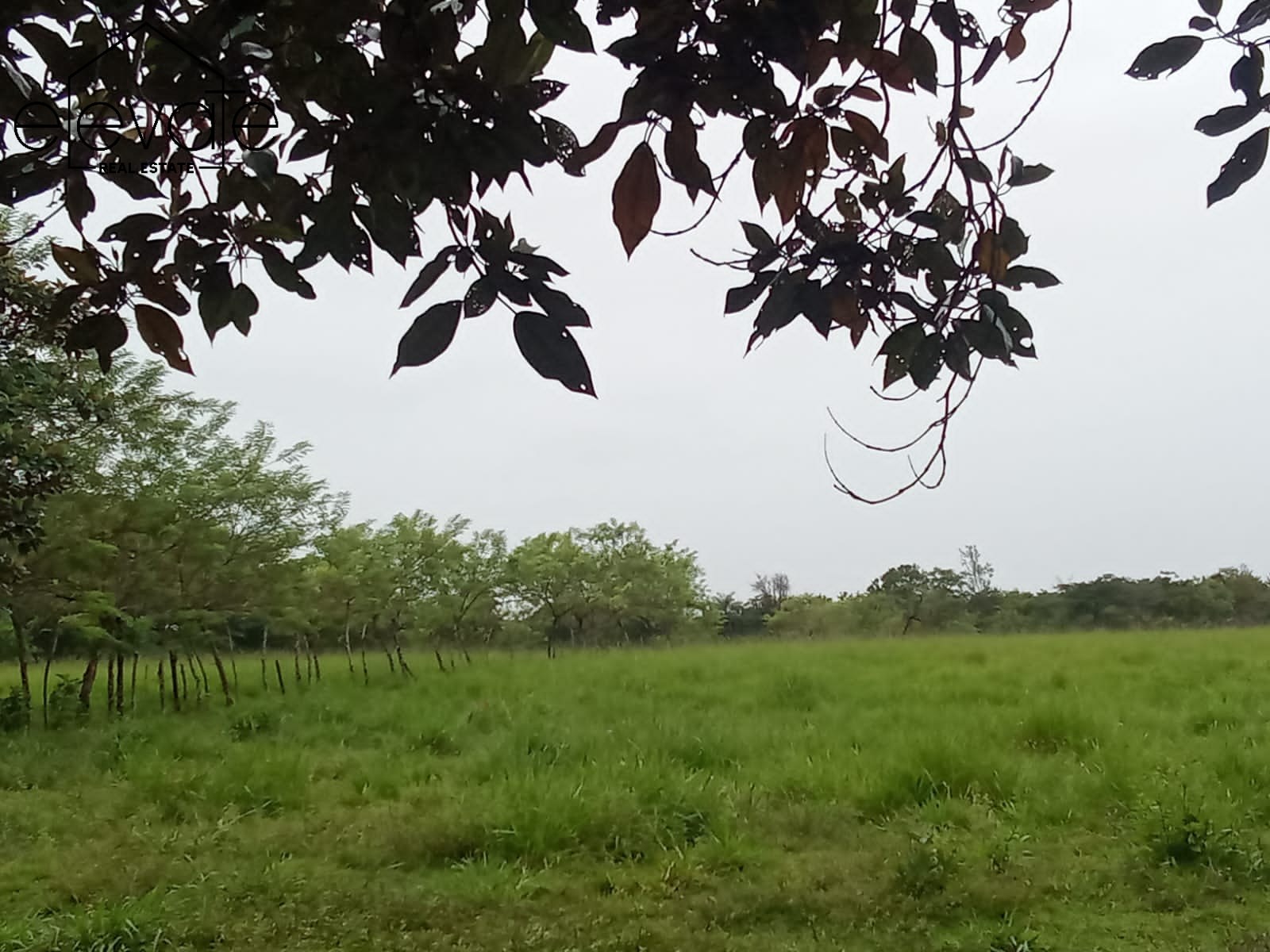 FINCA EN DAVID CHIRIQUI