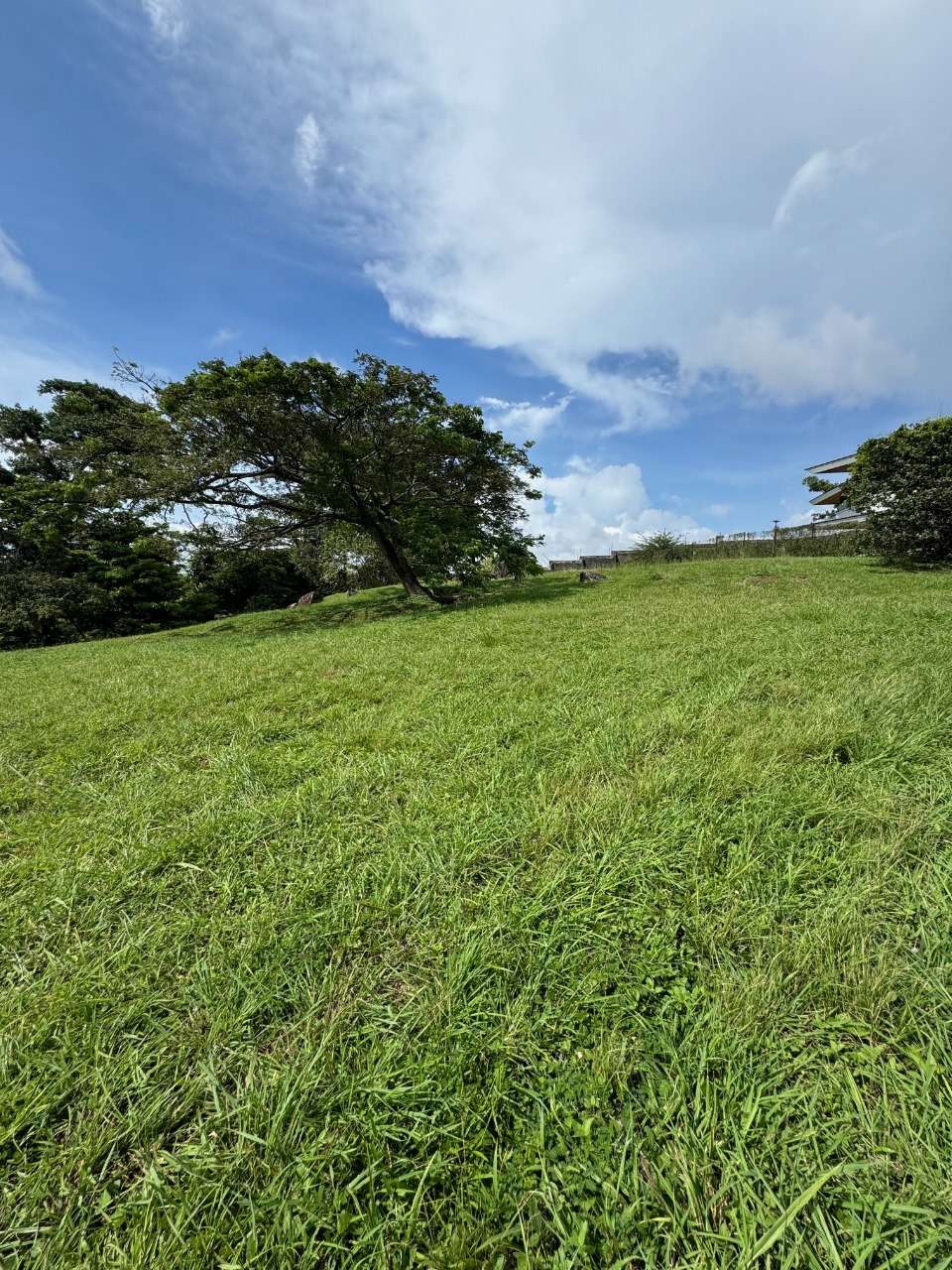 VENTA DE LOTE RESIDENCIAL, ALAJUELA, SAN RAFAEL, COND HACIENDA ESPINAL