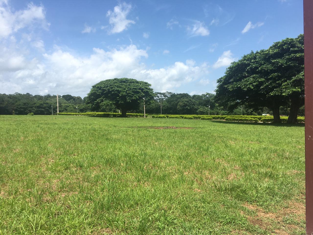 VENTA DE LOTE, PUNTARENAS, MIRAMAR, HACIENDA MONTES DE ORO