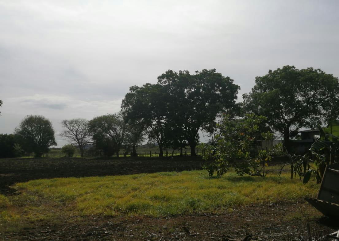 VENTA DE LOTE ALTA DENSIDAD, GUANACASTE, CARRILLO, PALMIRA