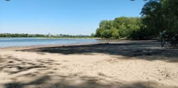 VENTA DE FINCA, LIMON, WESTFALIA.