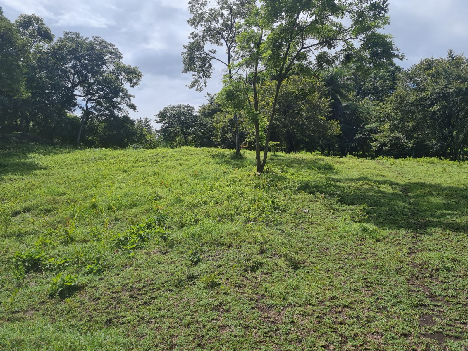 VENTA LOTE, GUANACASTE,BAGACES