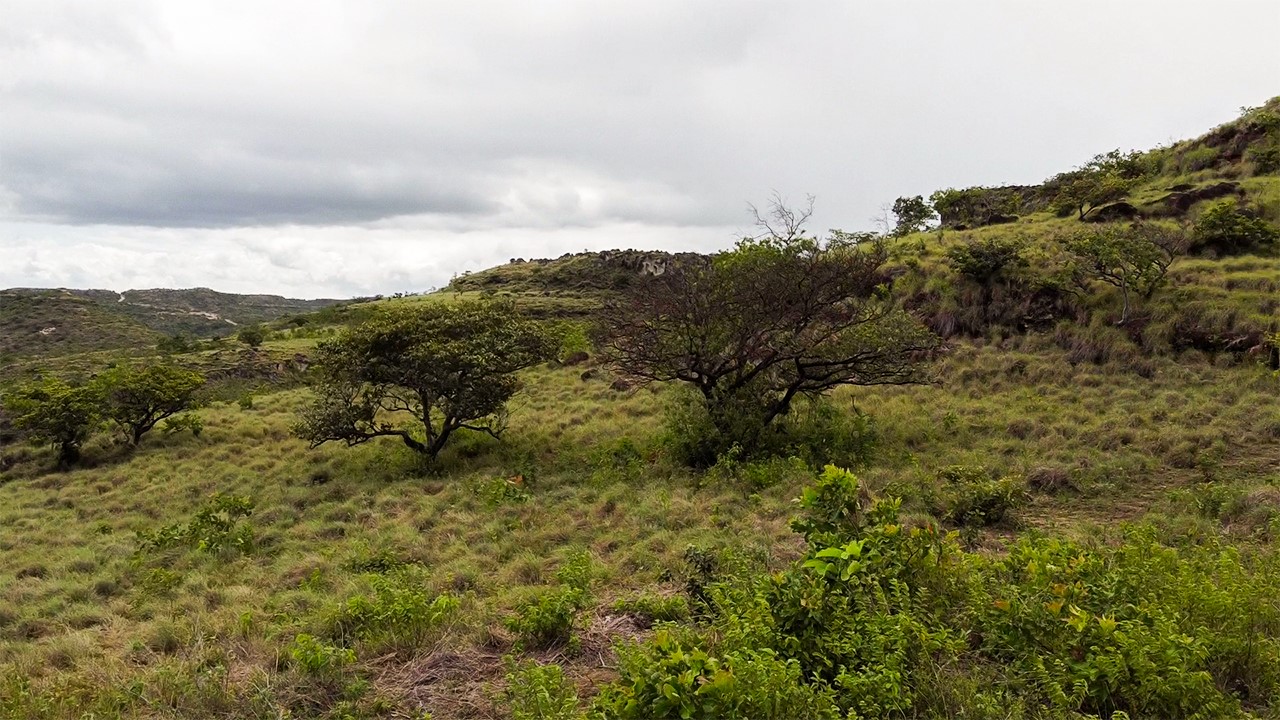 VENTA DE LOTES VISTA A RIO, GUANACASTE, BAGACES, ECO RESIDENCES