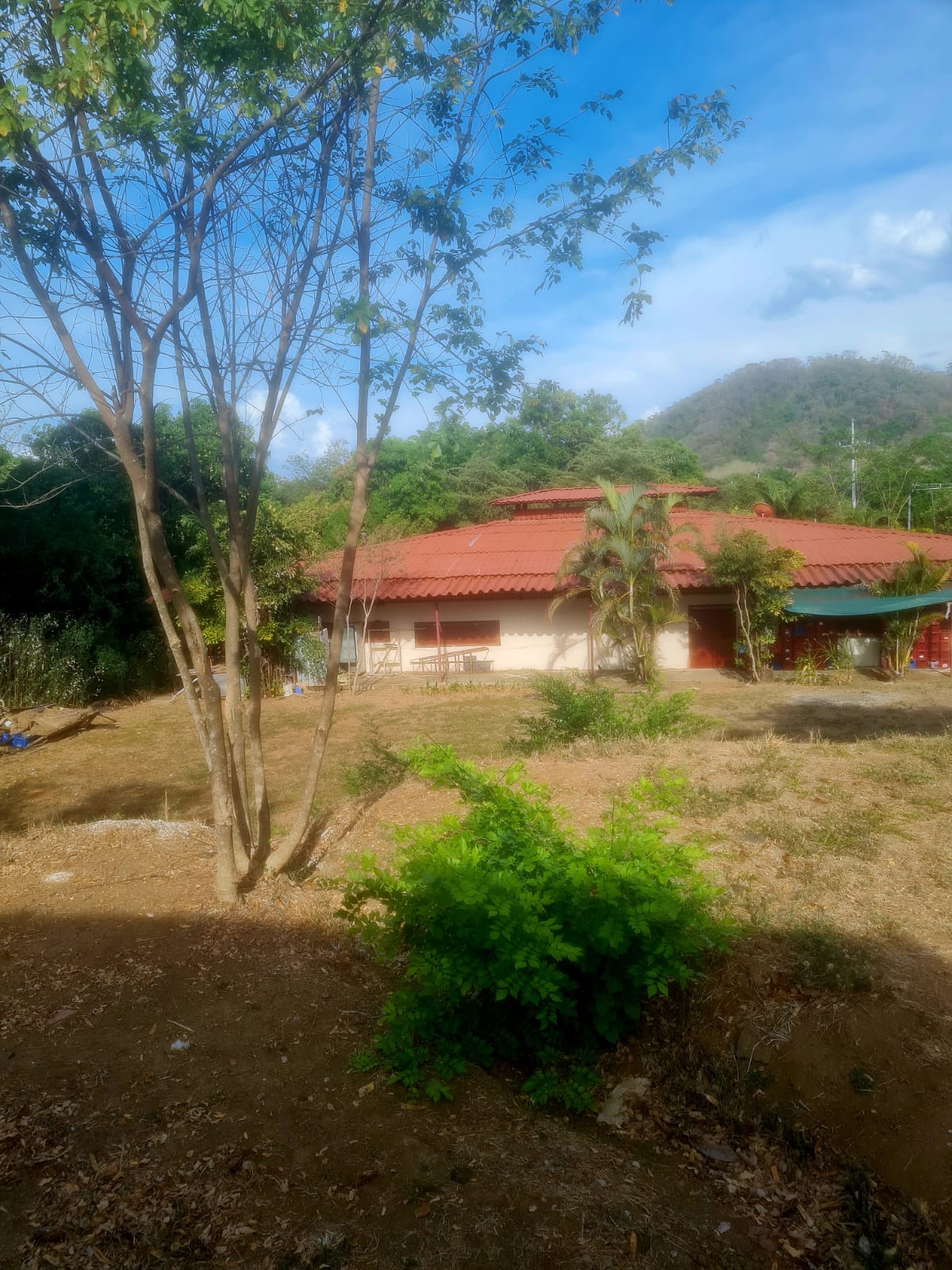 VENTA DE CABINAS Y SALON, PUNTARENAS, LEPANTO, JICARAL